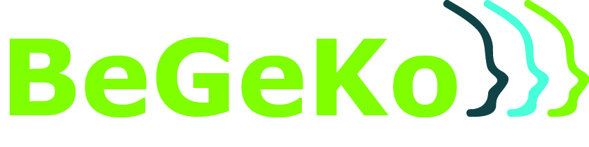 BeGeKo GmbH Wirtschaftsprüfungsgesellschaft